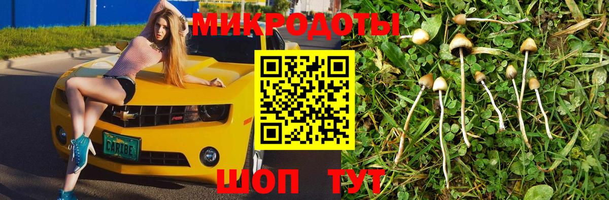 Краснодар  купить   Вход с VPN  Галлюциногенные грибы Psilocybine cubensis 