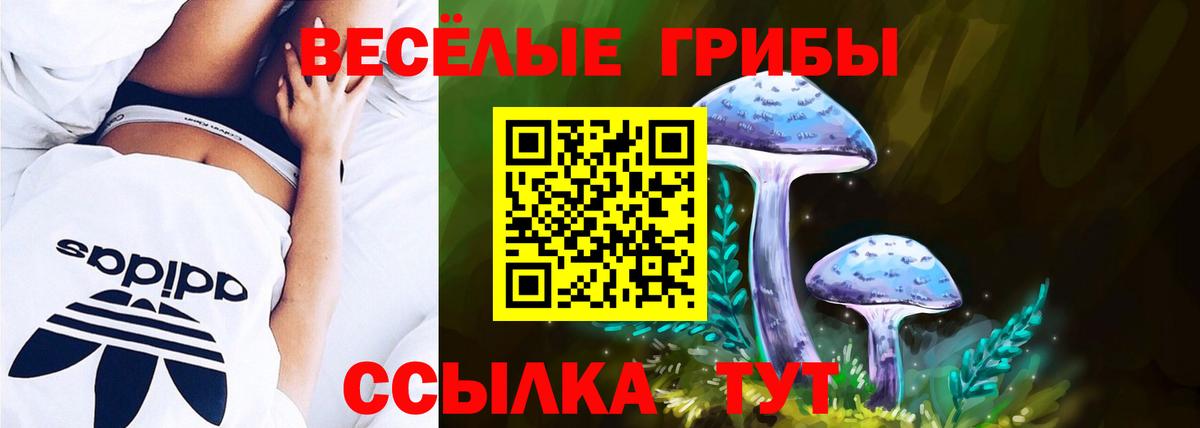 Галлюциногенные грибы мицелий Краснодар